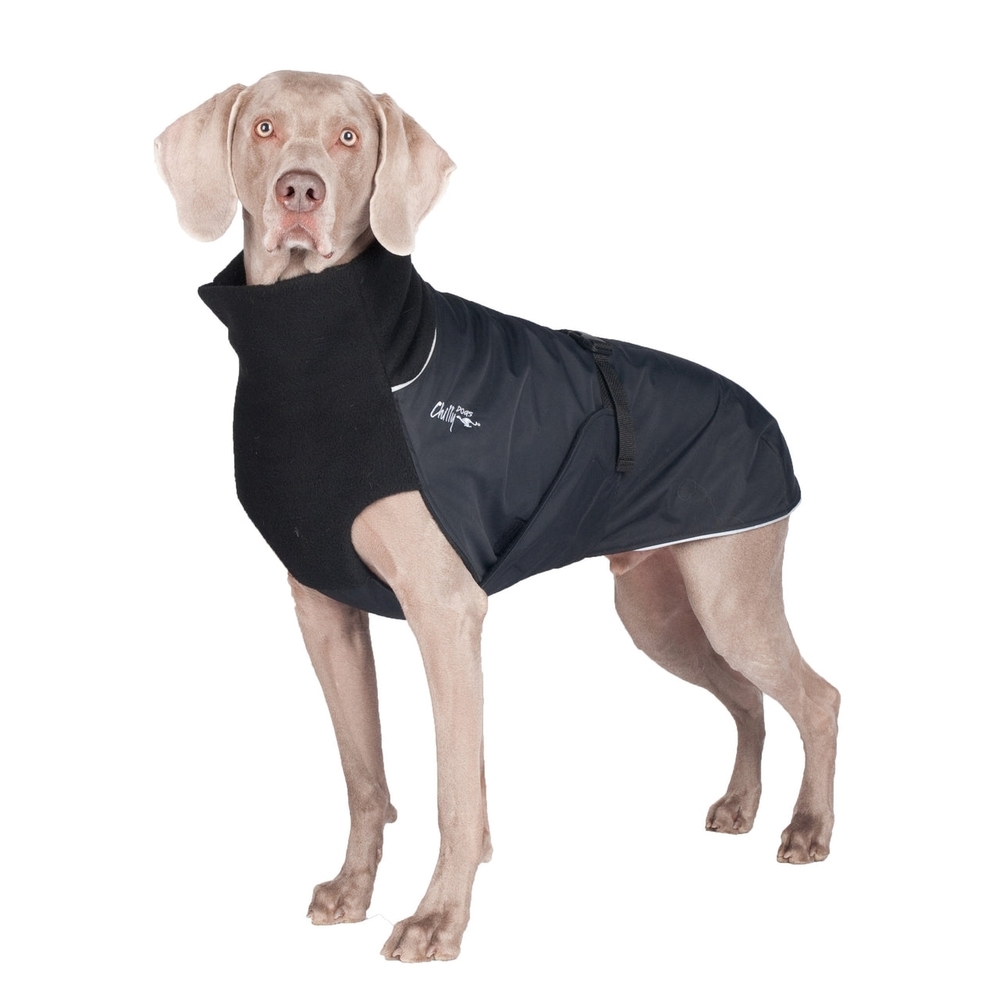 Black Dog Coat by [Brand]